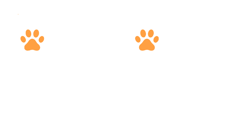AuAuDicas